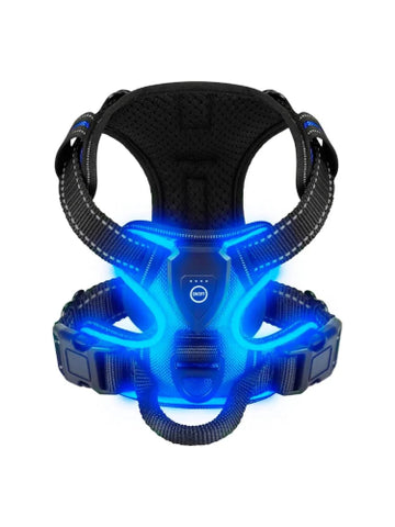 ARNÉS CON LUZ LED  CON USB PARA PASEOS NOCTURNOS TALLA L