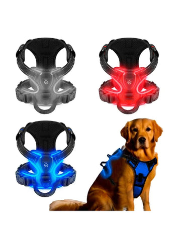 ARNÉS CON LUZ LED  CON USB PARA PASEOS NOCTURNOS TALLA XL