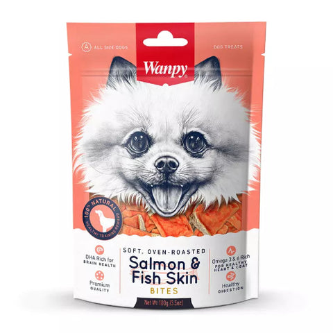 SNACK WANPY SALMON Y FISH SKIN 100GR