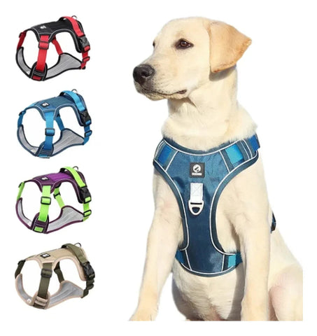 ARNÉS WONDER DOG DUOMM TALLA S