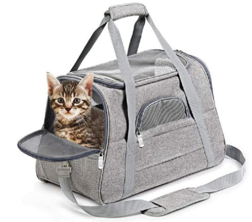 BOLSO PARA TRASLADO GATO